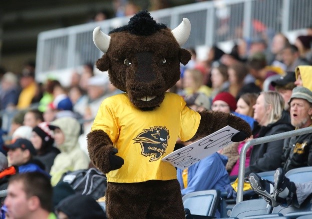 Photograph of 'Billy the Bison' UM's mascot.